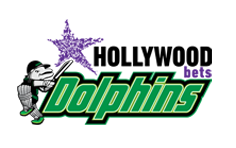 The Dolphins