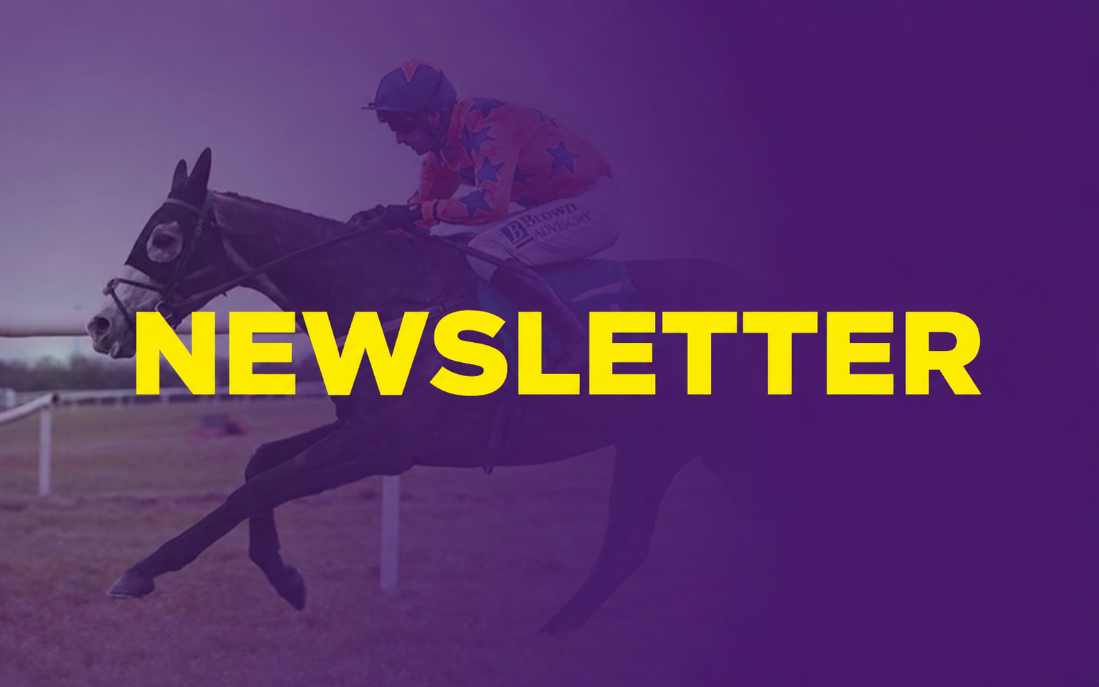Newsletter