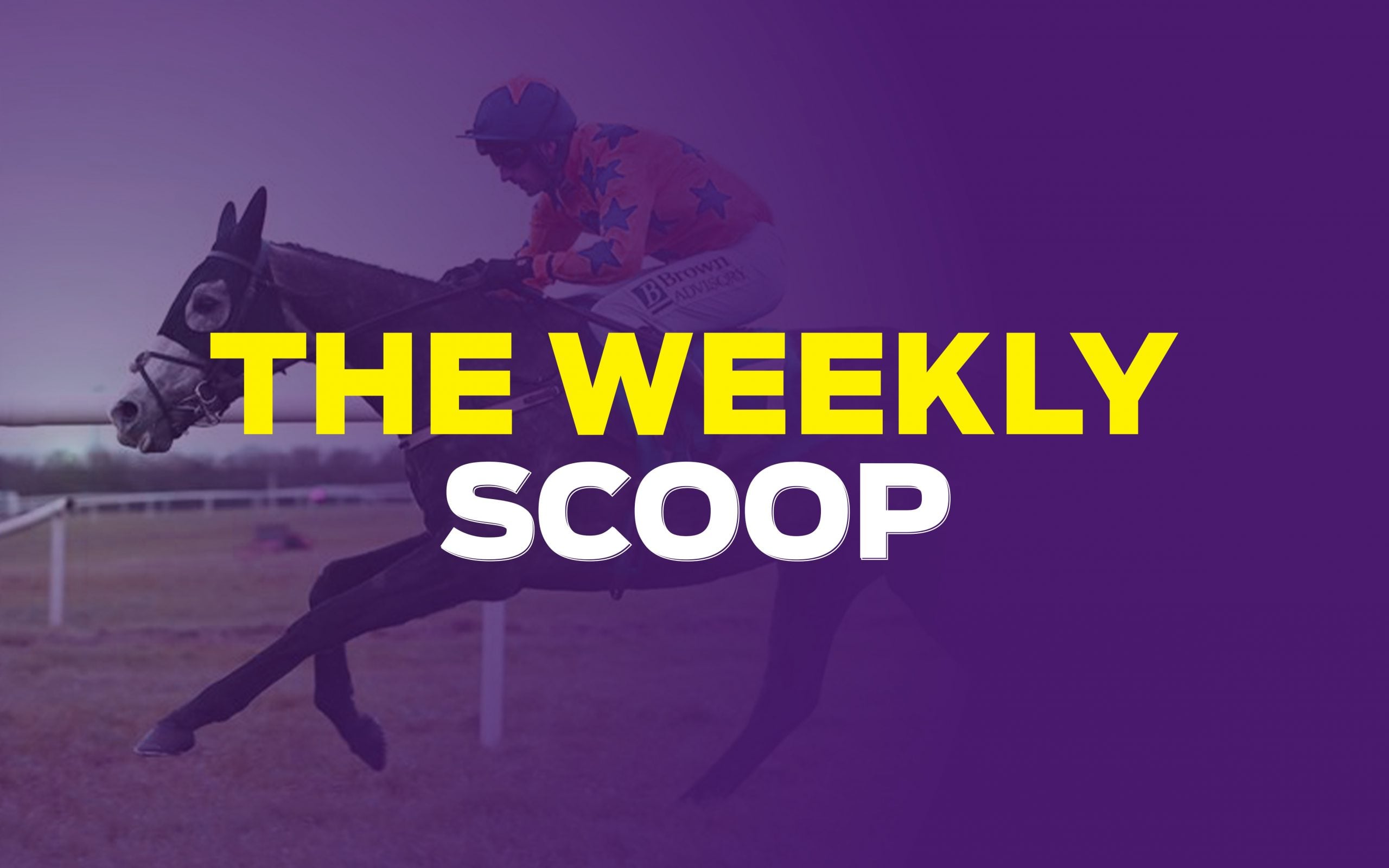 Weekly Scoop Horse Racing